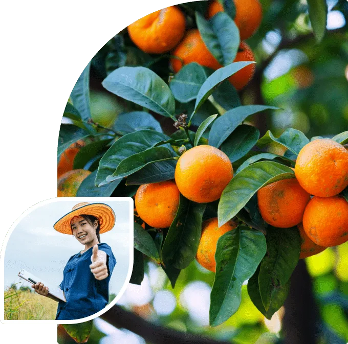 智能分析，洞悉赛事先机 - 壹号娱乐APP