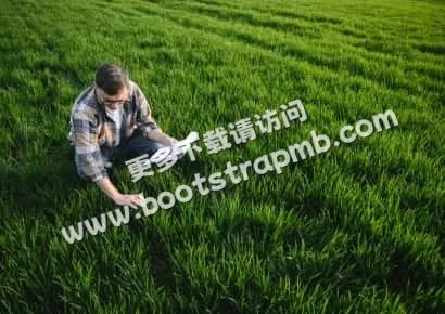 探索体育数据的奥秘 - 壹号娱乐APP