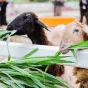 探索体育数据的奥秘 - 壹号娱乐APP