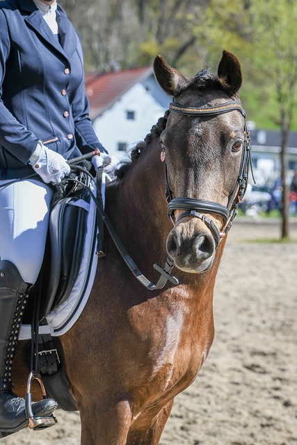 场上的表现 场上的表现