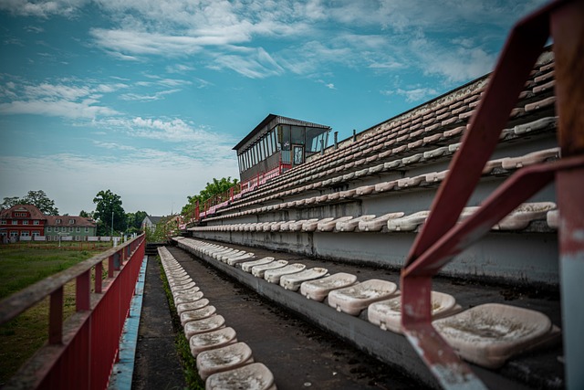 他们可能会 他们可能会
