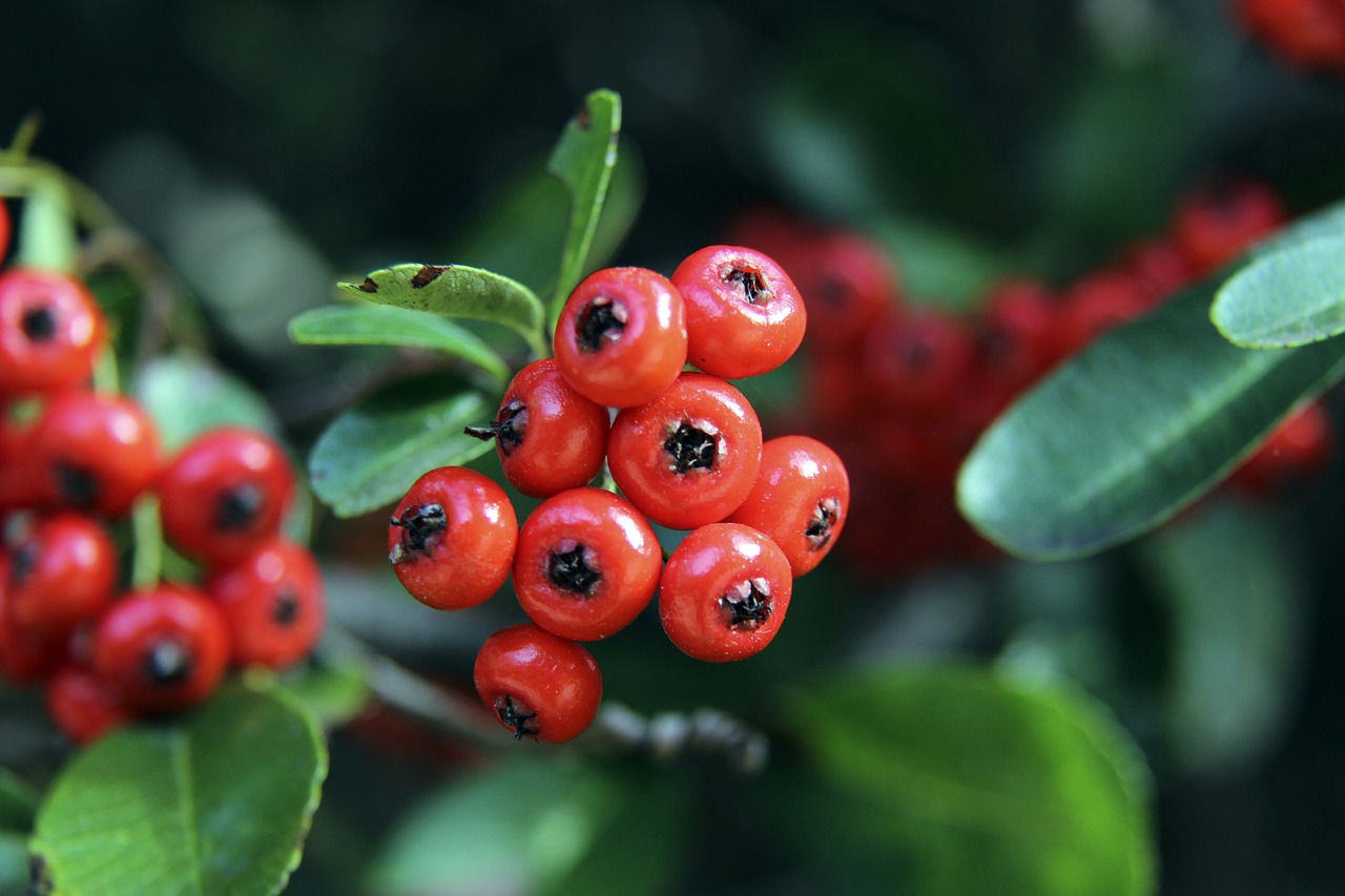 场上创造佳 场上创造佳