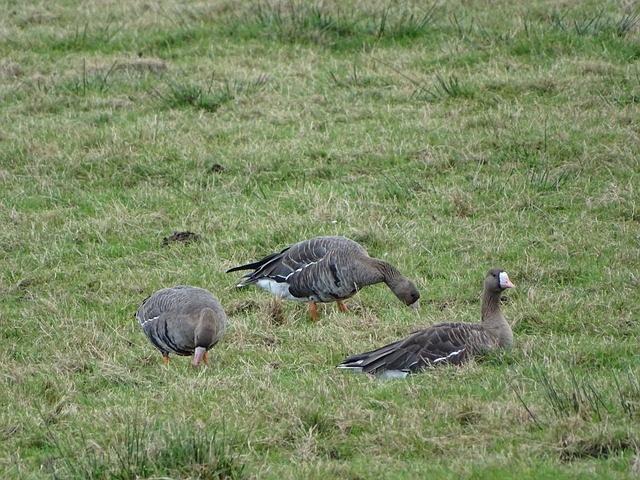 机场已开始 机场已开始