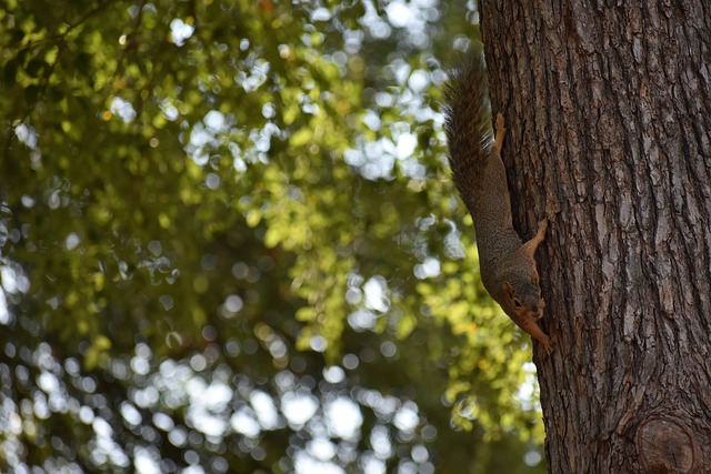 能力给任何 能力给任何